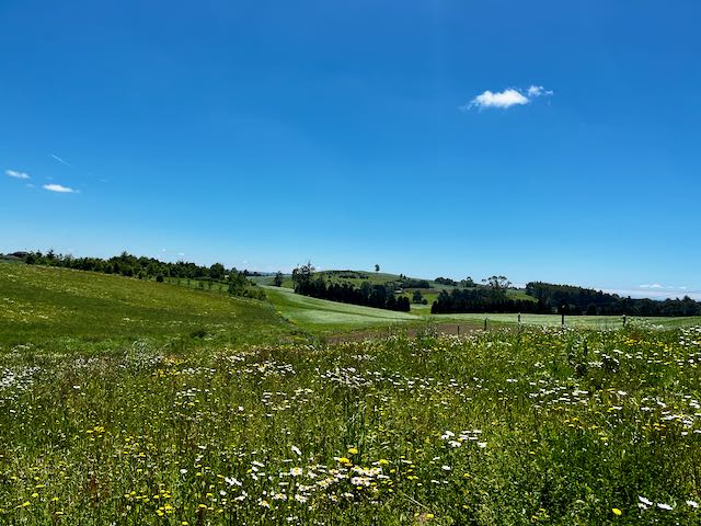 casaycia propiedades parcela en puerto varas