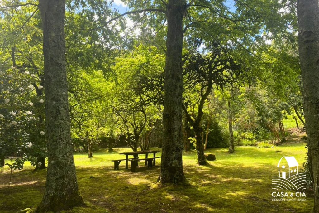 casaycia propiedades venta de casa en lago ranco