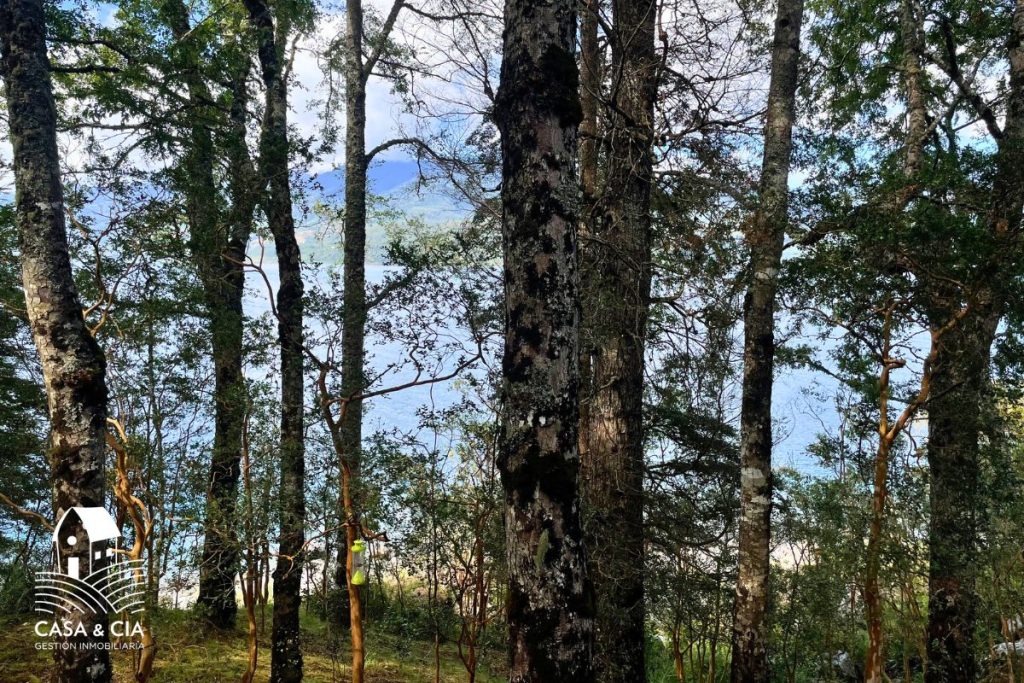 casaycia propiedades parcelas de orilla de lago riñihue